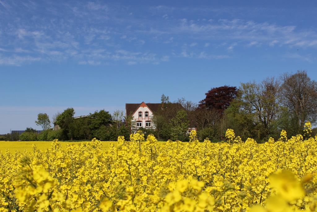 Hof Osterholz Leilighet Loit Eksteriør bilde